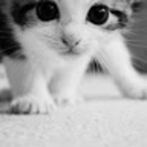 Meet your Posher, Its just